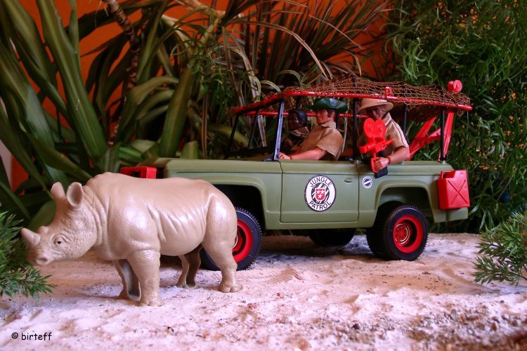 Safari Jeep